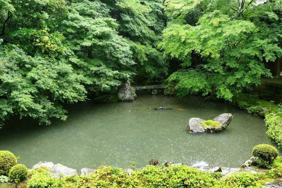 raw-image