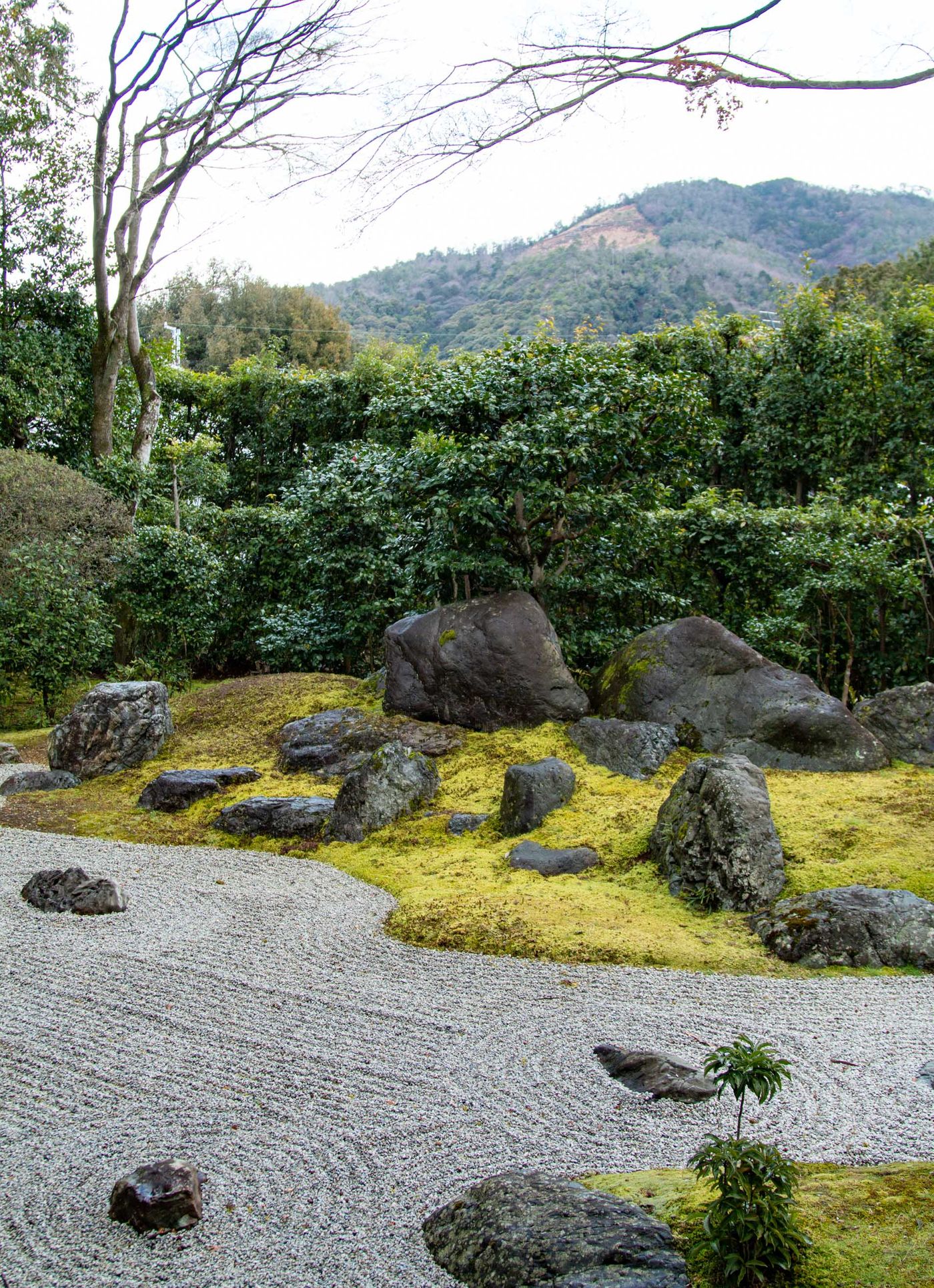 仰望大文字山