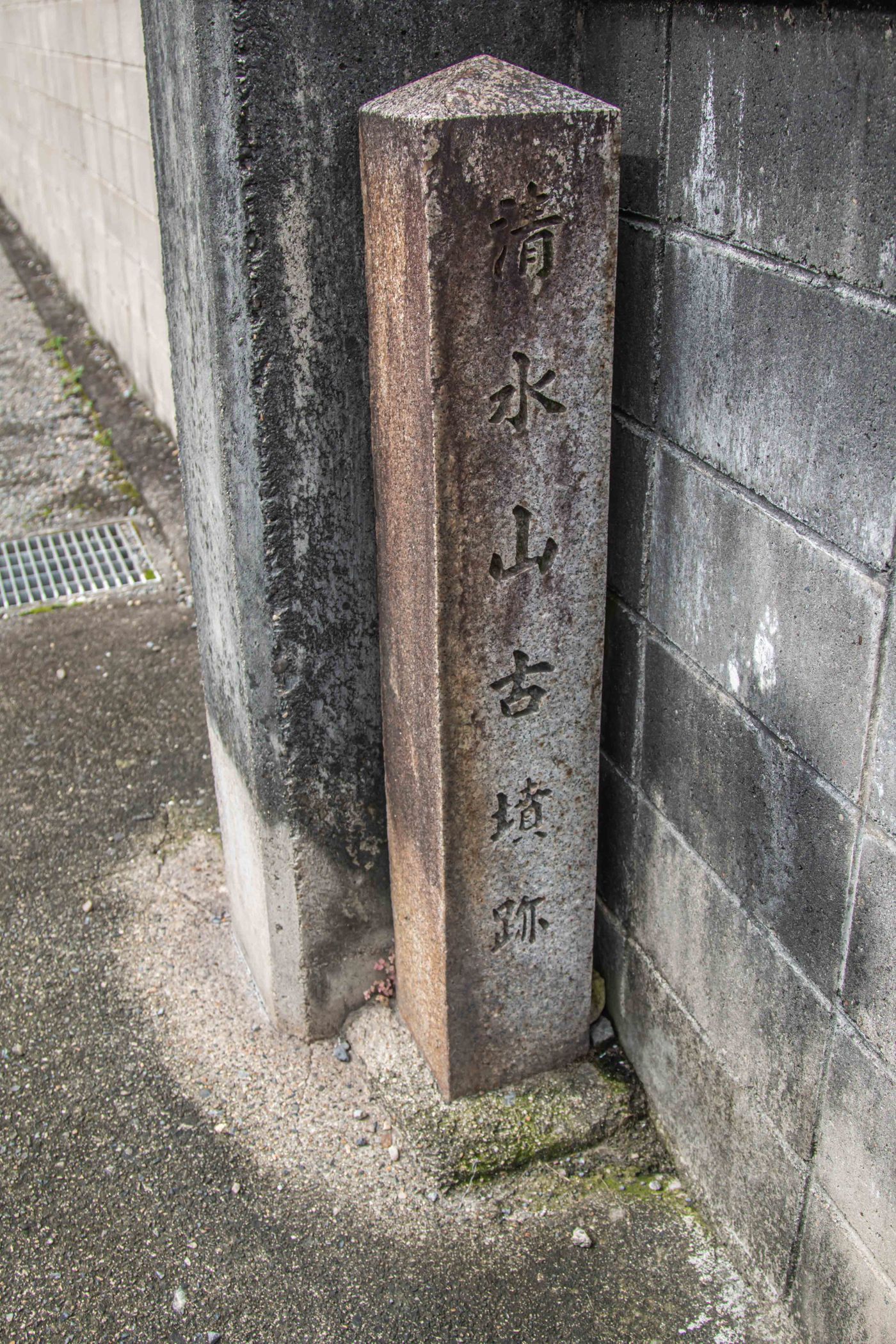 raw-image