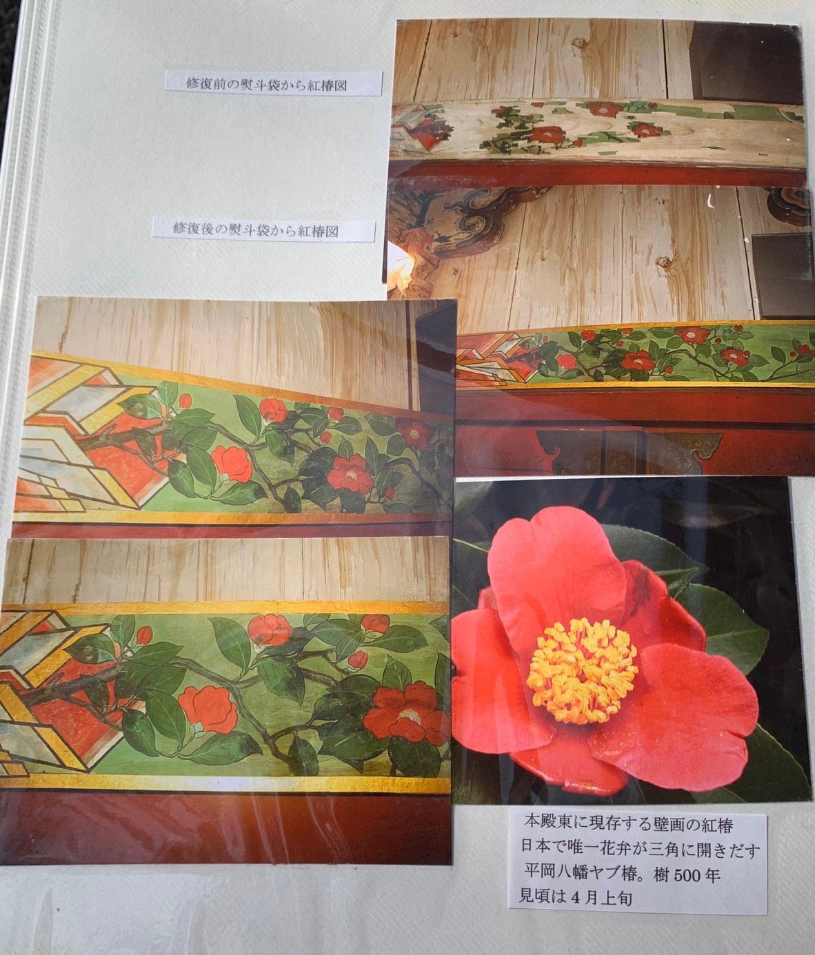 raw-image