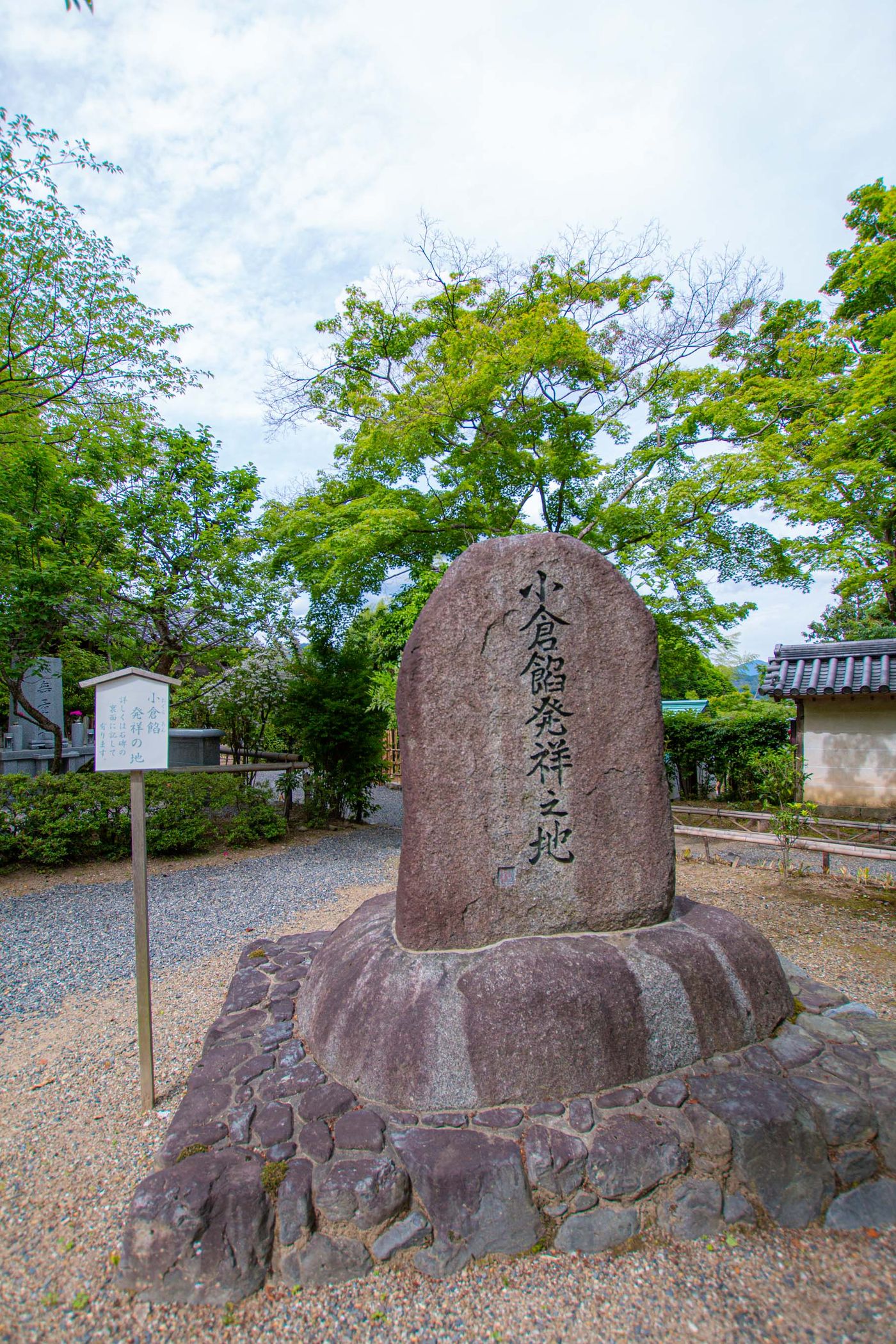raw-image