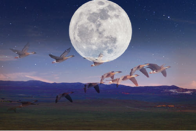 中秋过后 天气转凉 请注意保暖哦 也请为大雁关灯两小时 阿蘭 Zhongguowansui