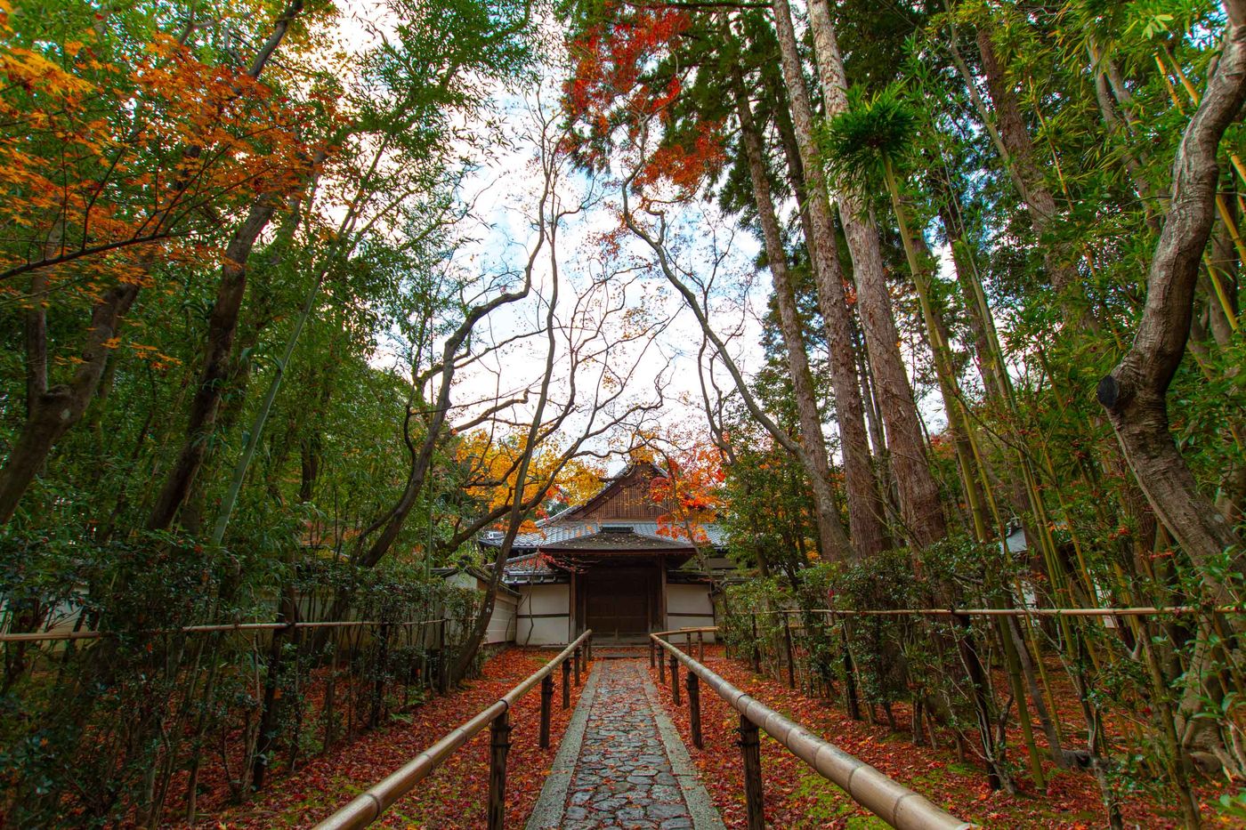 高桐院