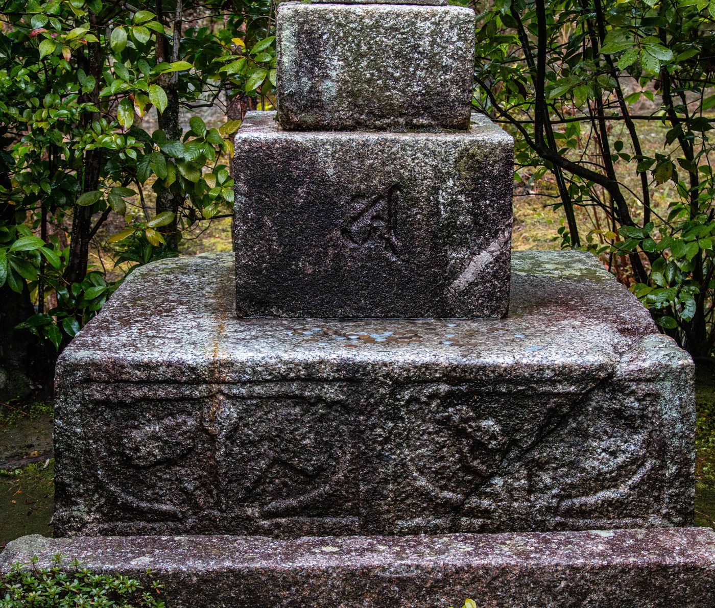 raw-image