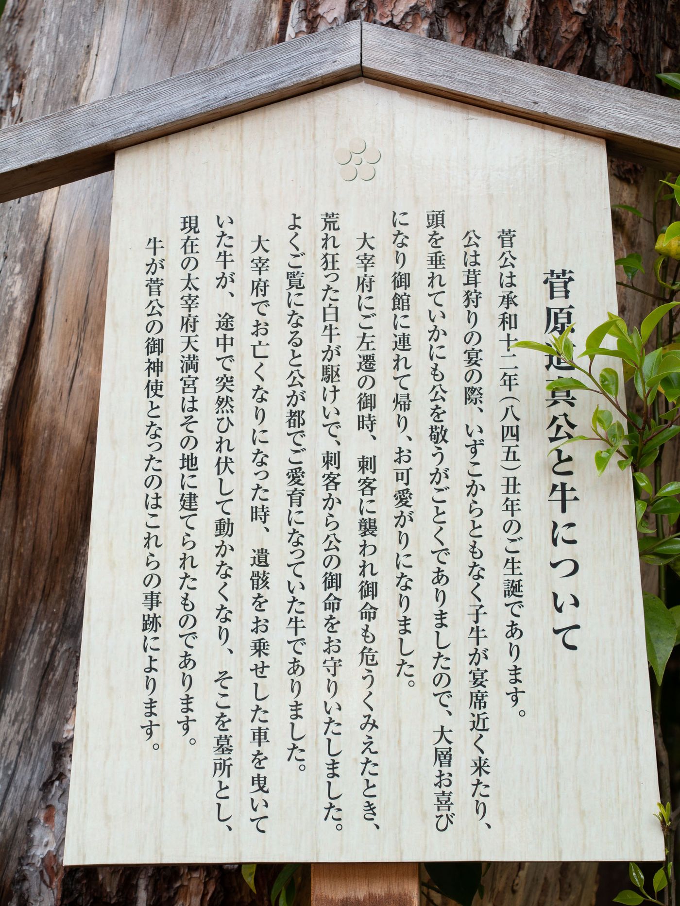 道真公及牛的淵源