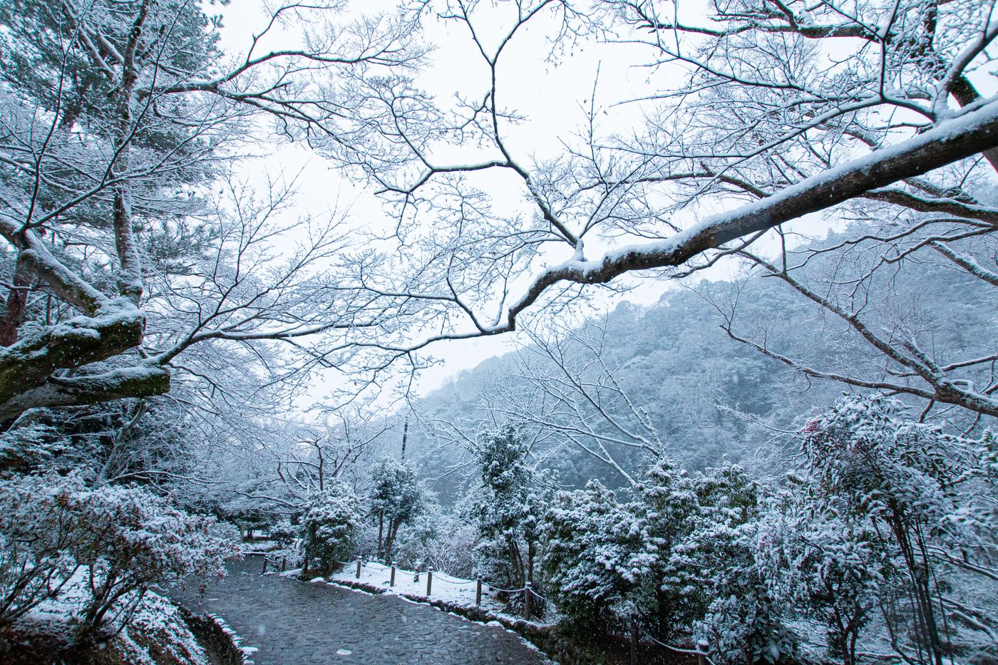 嵐山公園