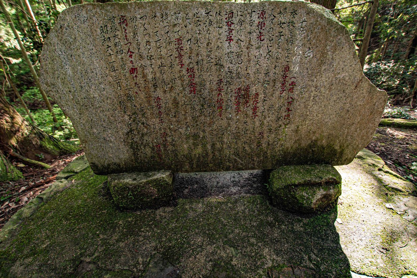 raw-image