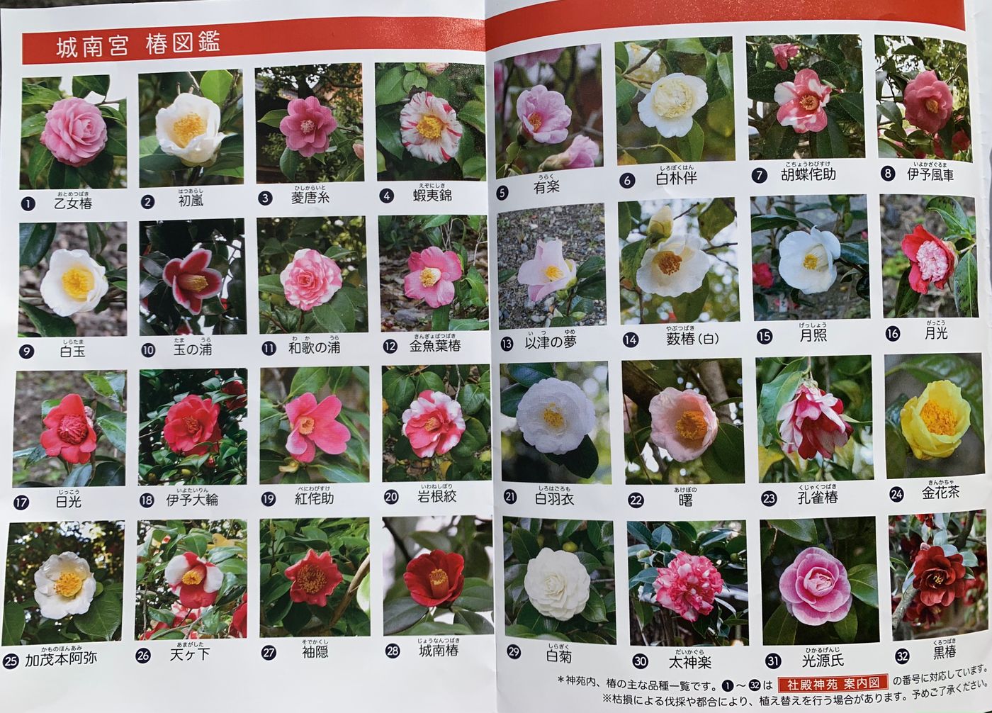 簡介彩色印刷的詳細介紹