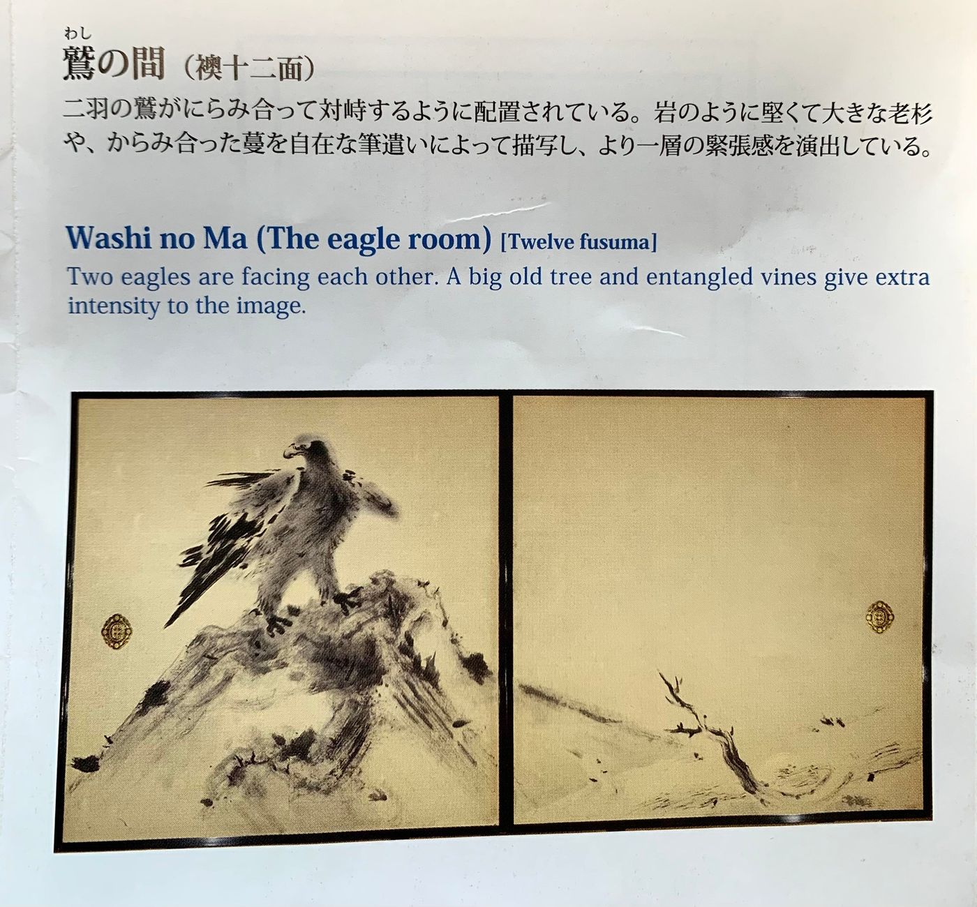 兇悍的鷲目光凌厲猶如審視外來者