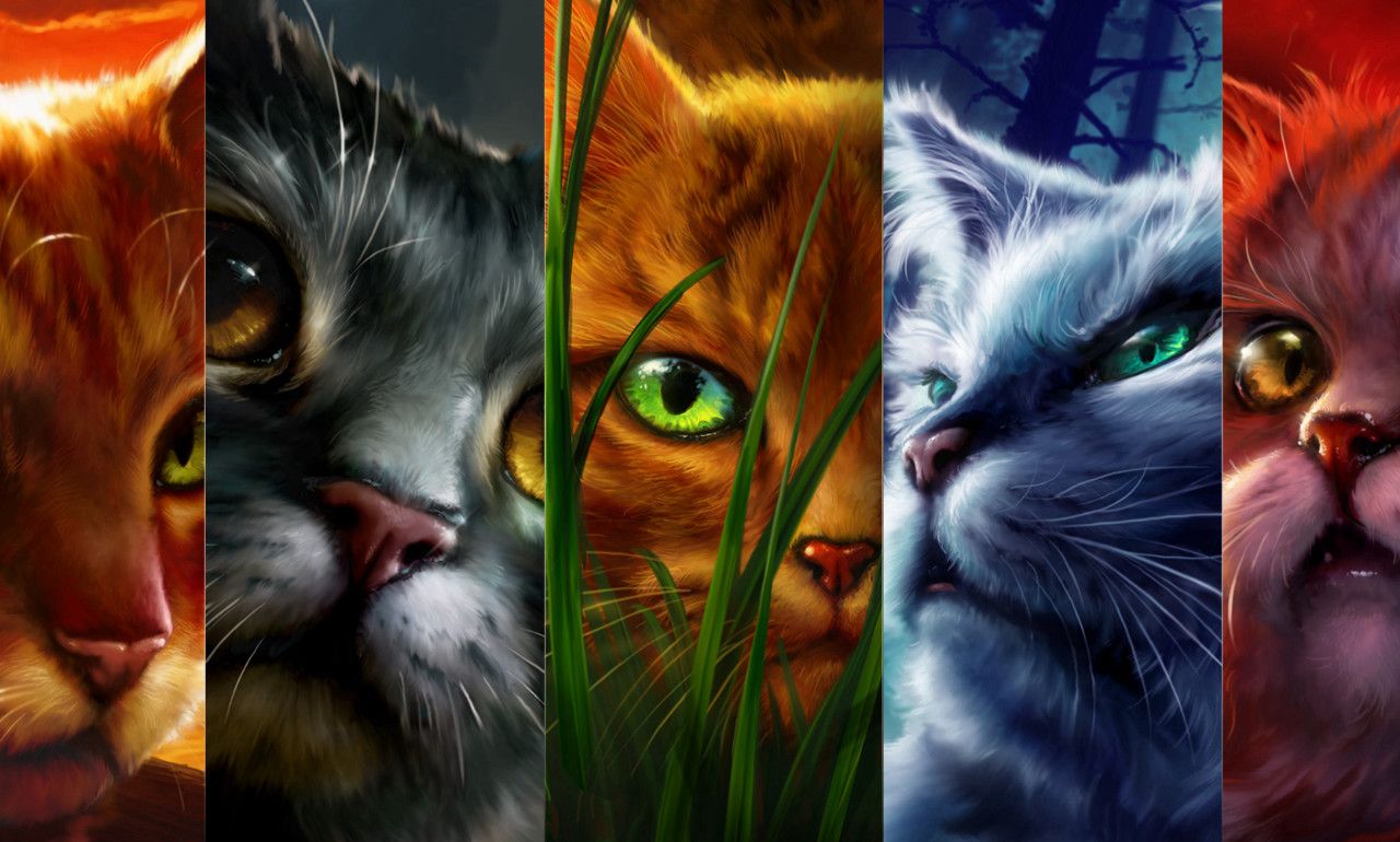 森林裡的群像劇【貓戰士】──藉貓兒之眼，窺見最真實的愛與人性。 - Limerence (@limerence032)