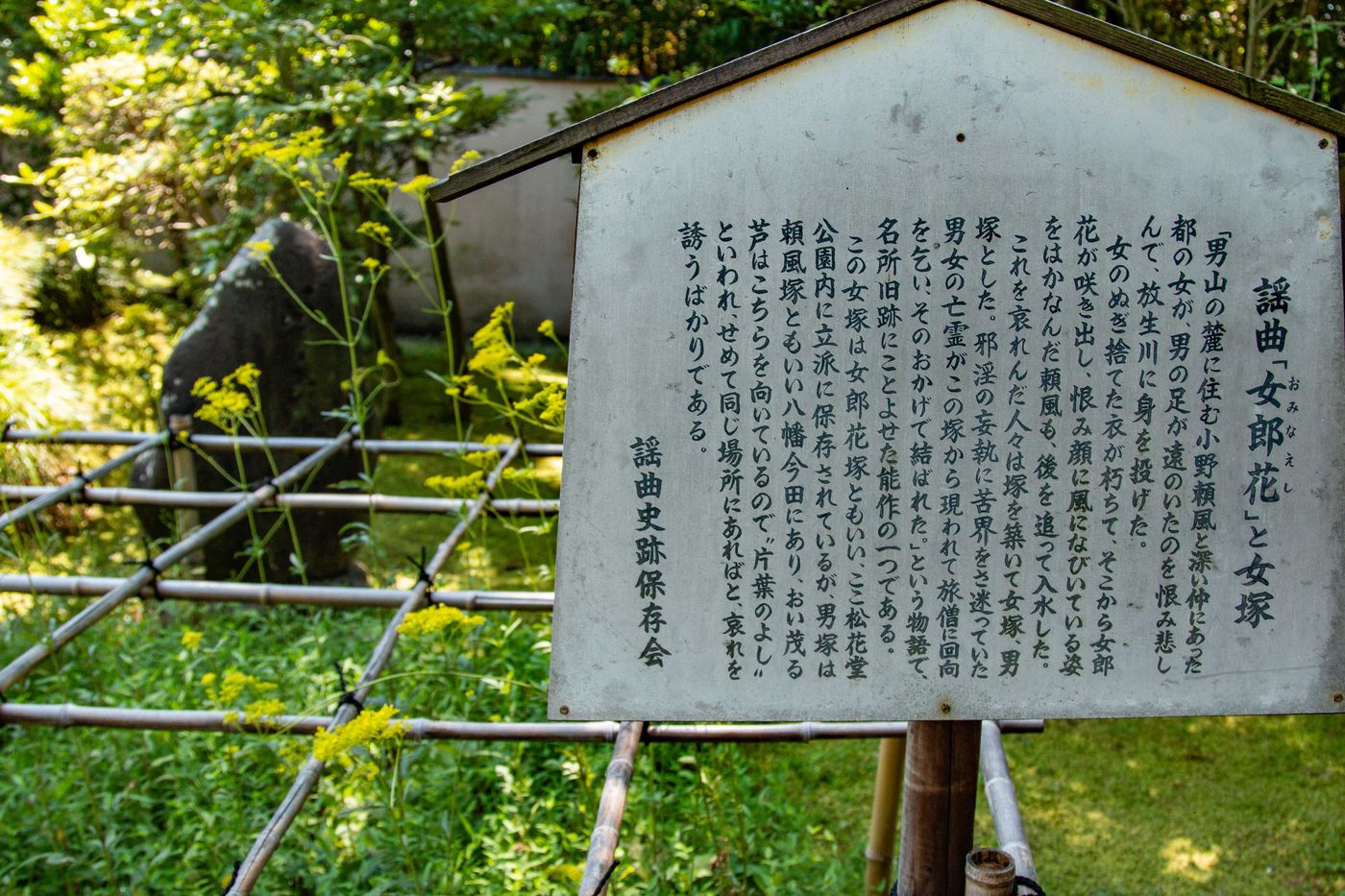 raw-image