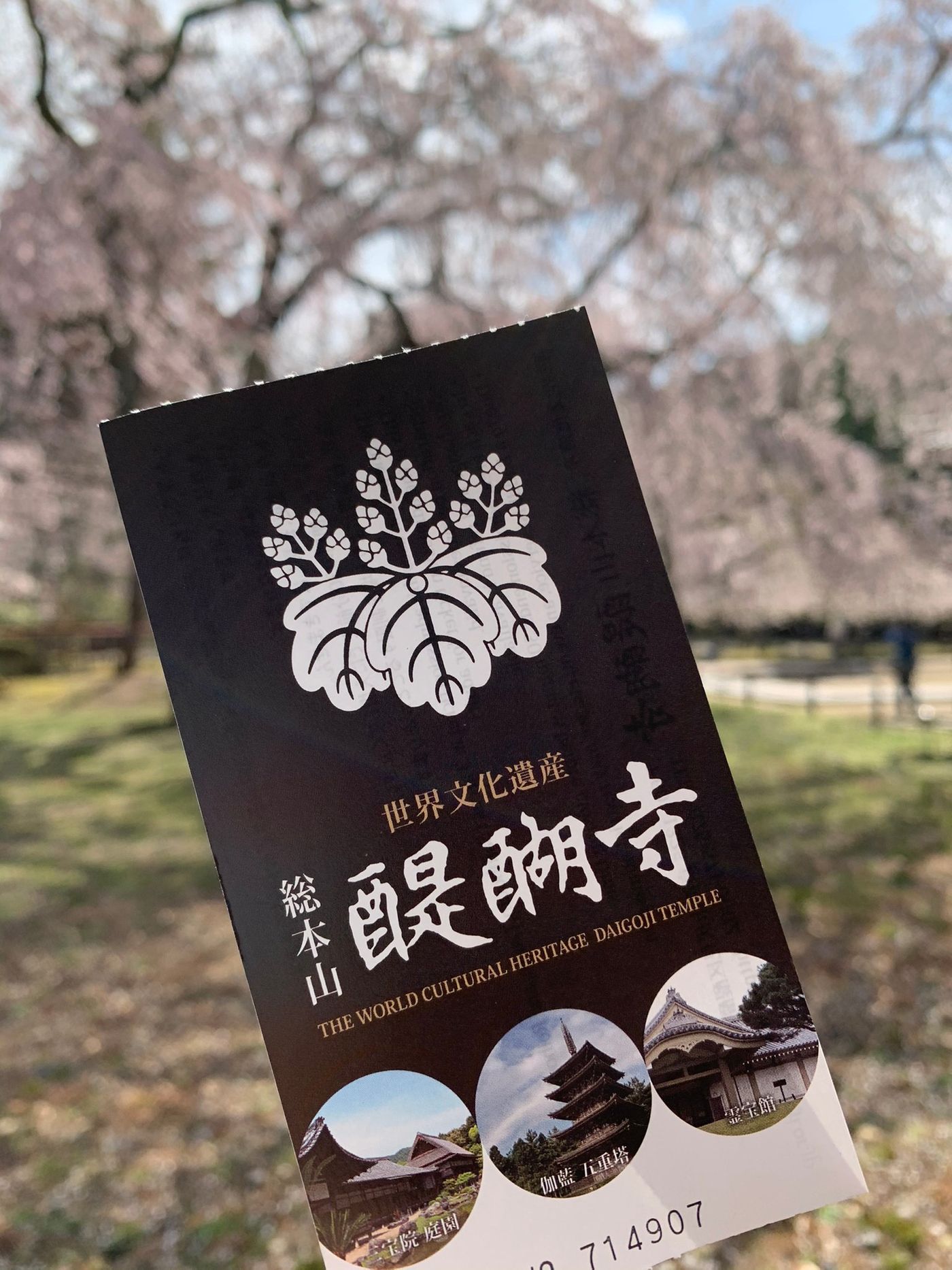 曬票根