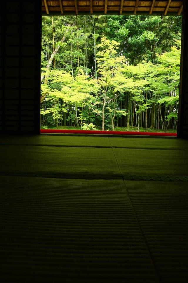 raw-image
