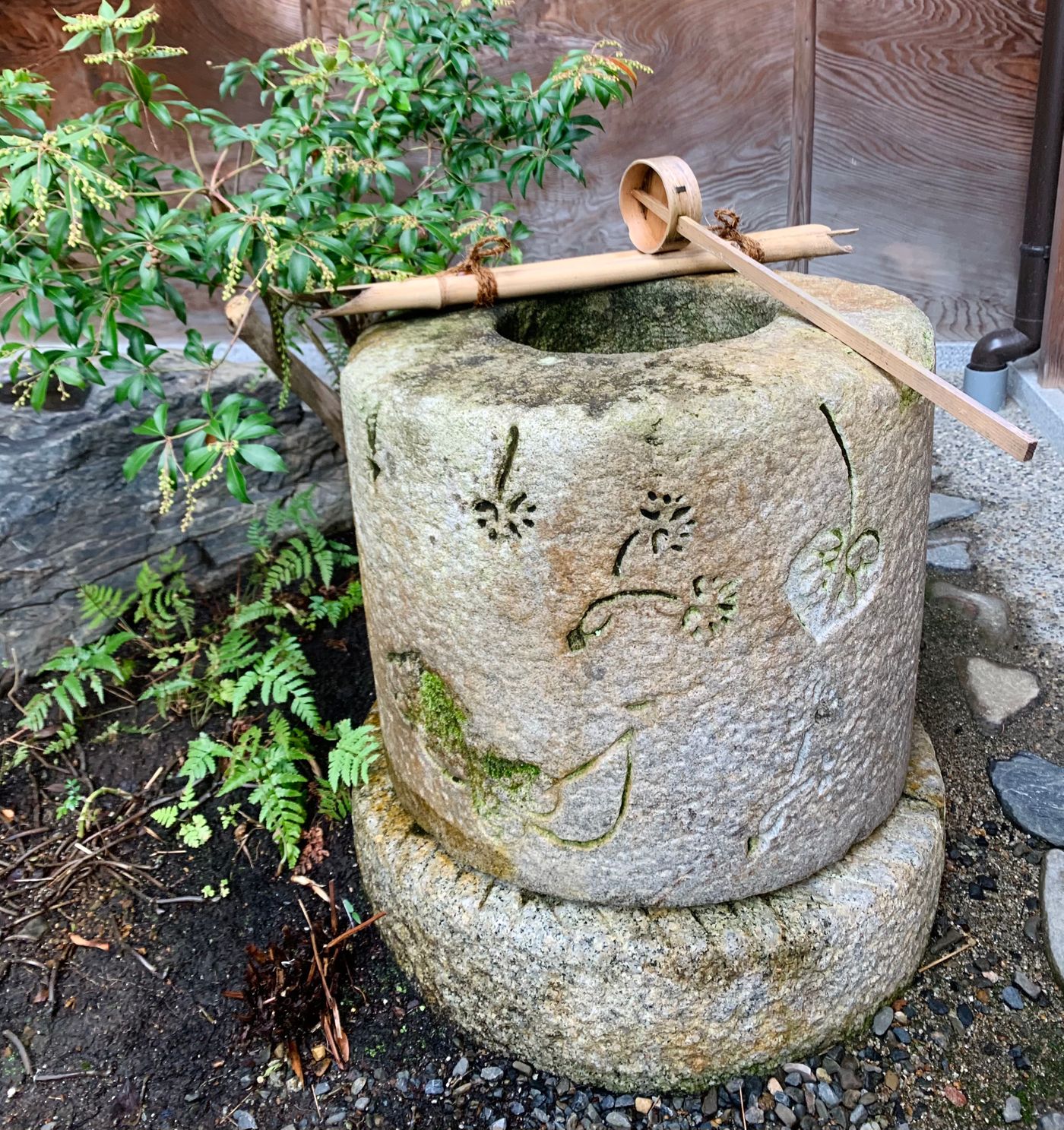 雙葉葵的神紋