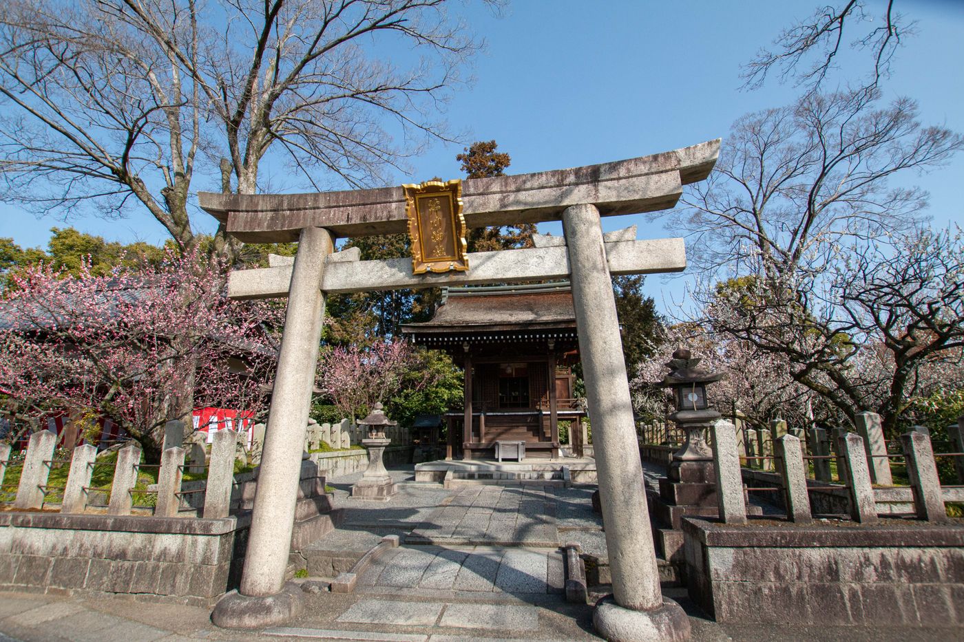 境內的唐渡天滿宮,又名芹川天満宮 城南宮外販賣花卉盆栽,還有有名的椿餅