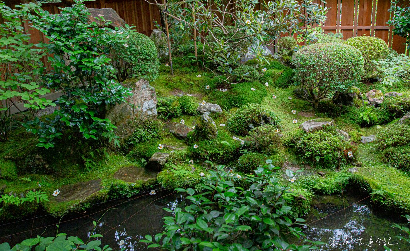 夏椿