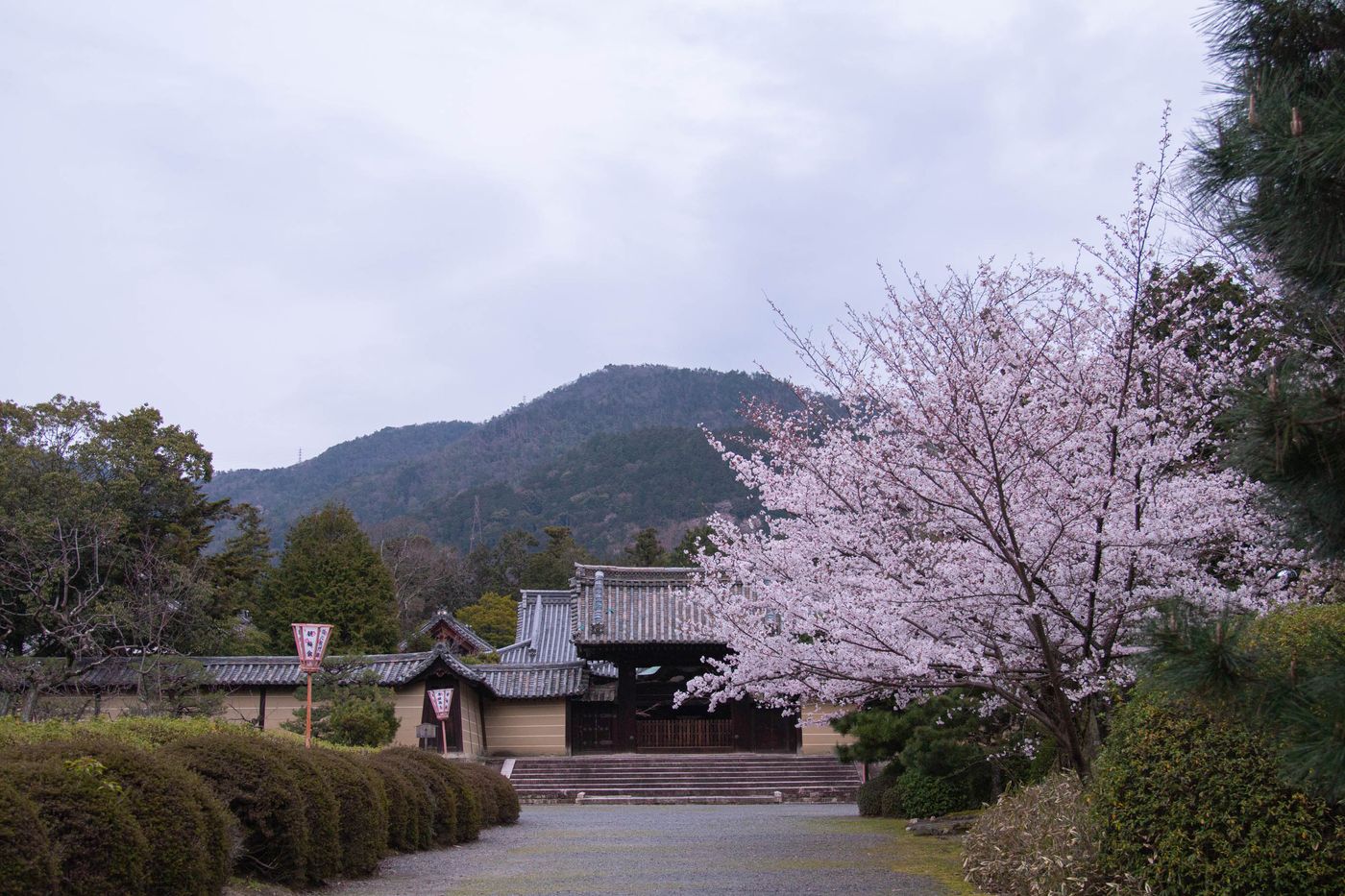 raw-image