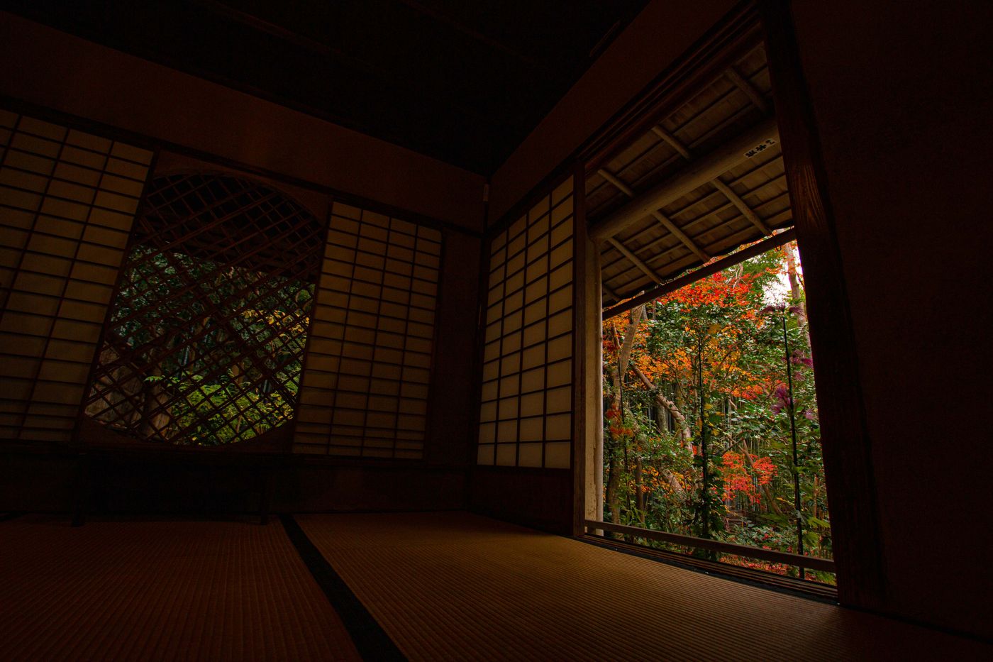raw-image