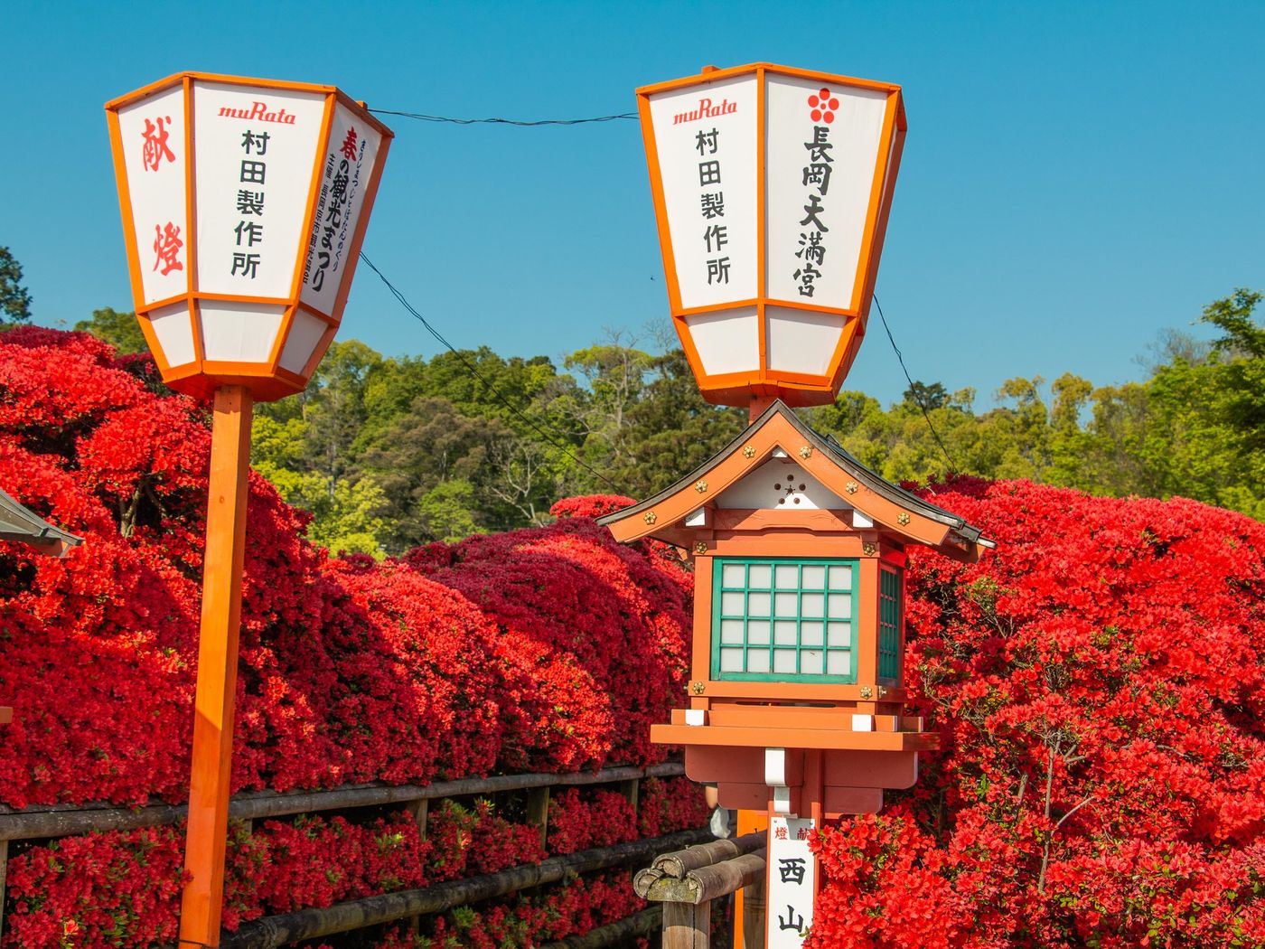 長岡天滿宮 2018.4.21攝影