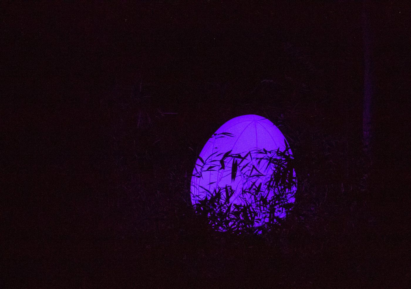 raw-image