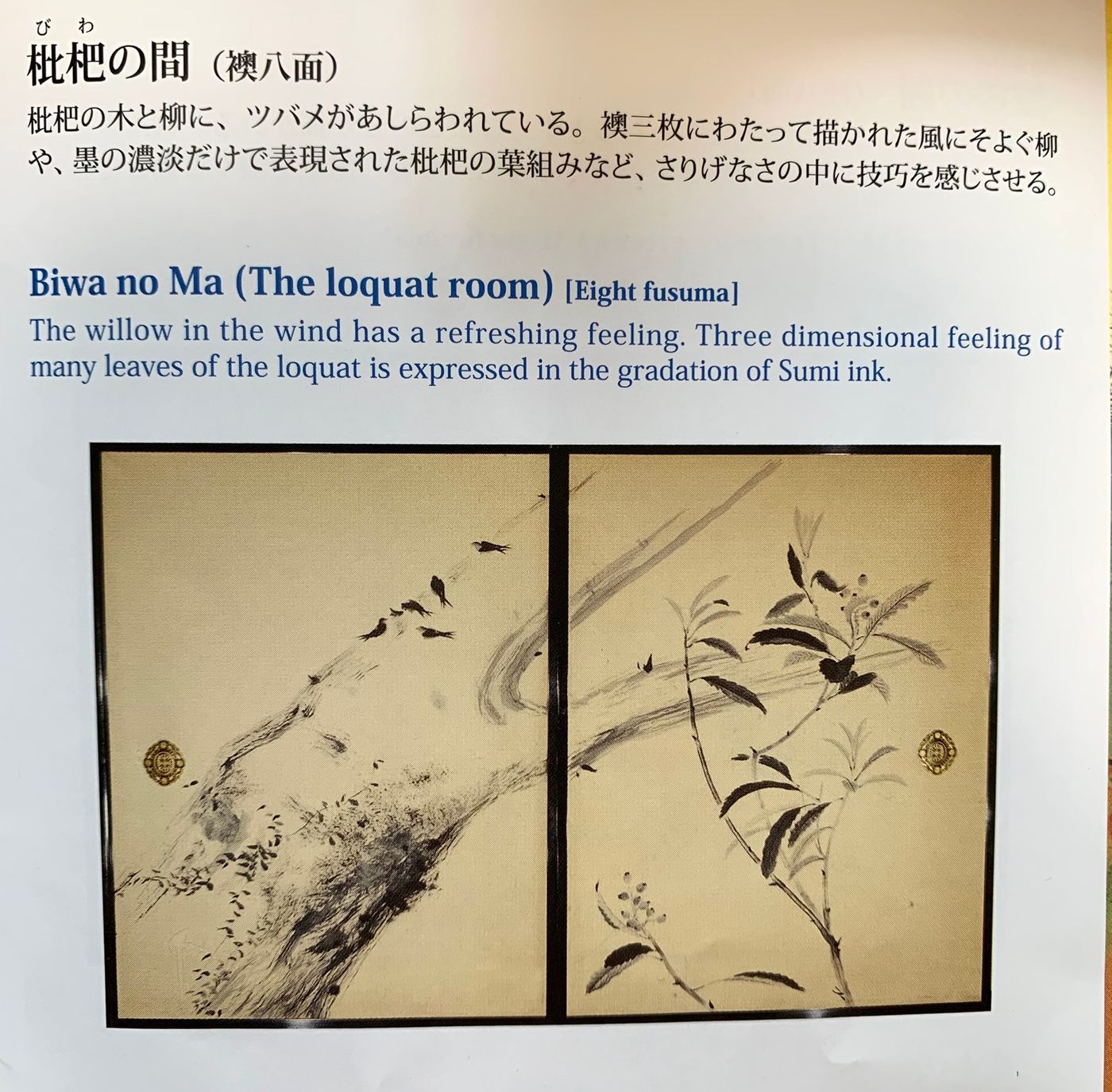 raw-image