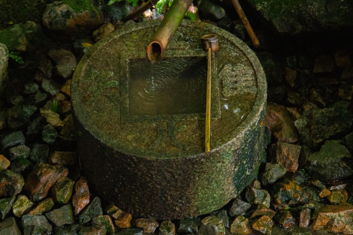 raw-image
