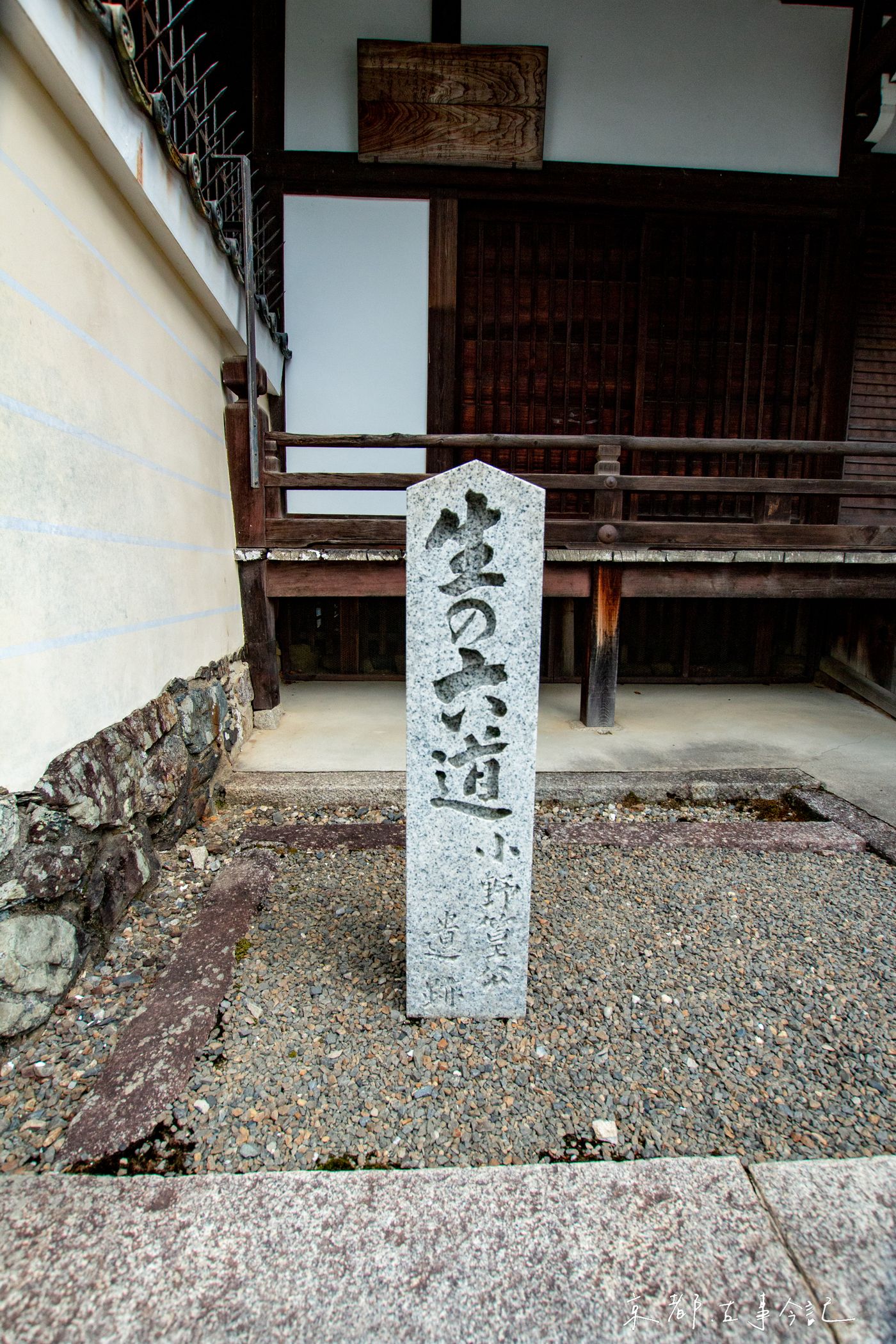 raw-image