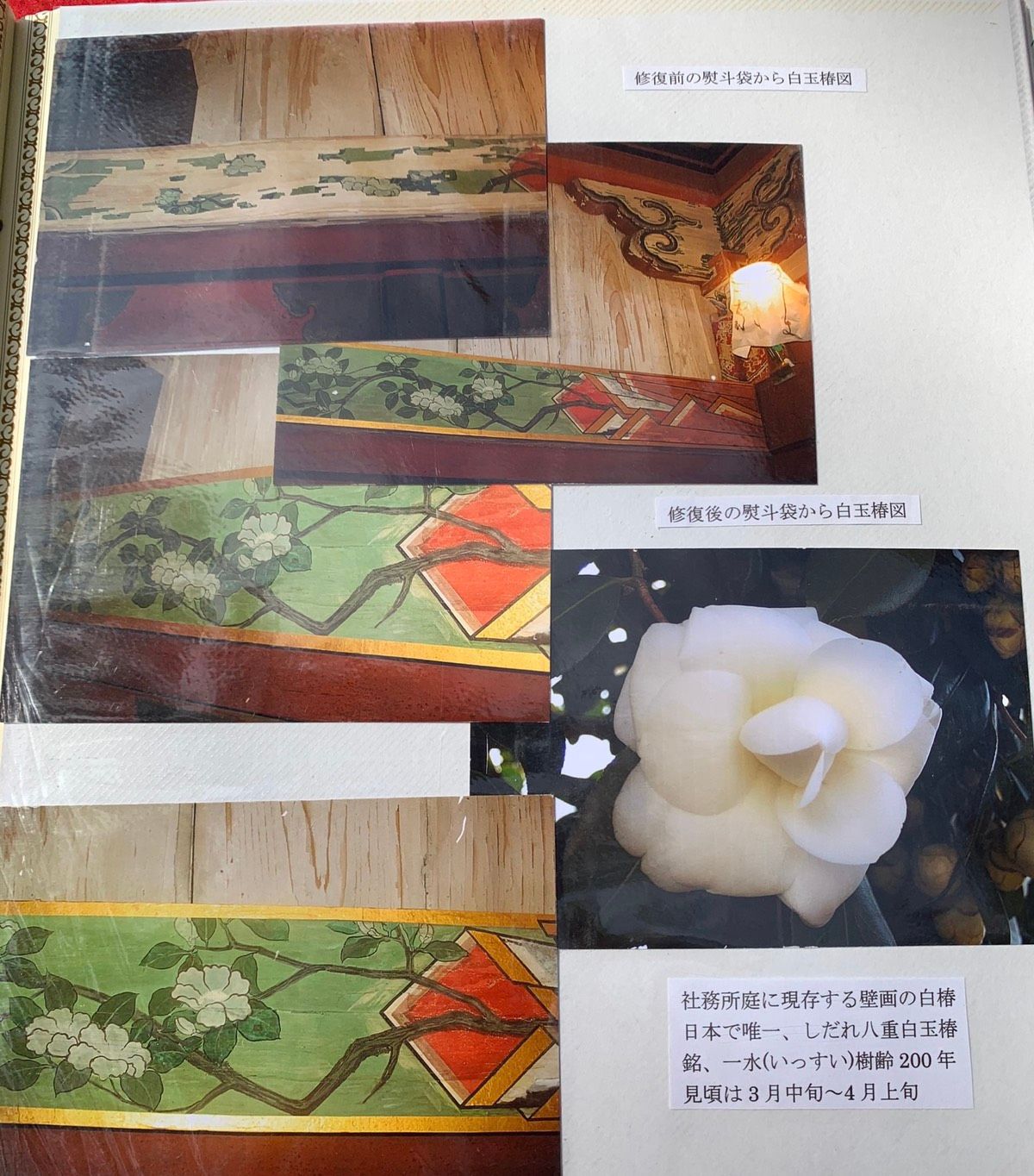 raw-image
