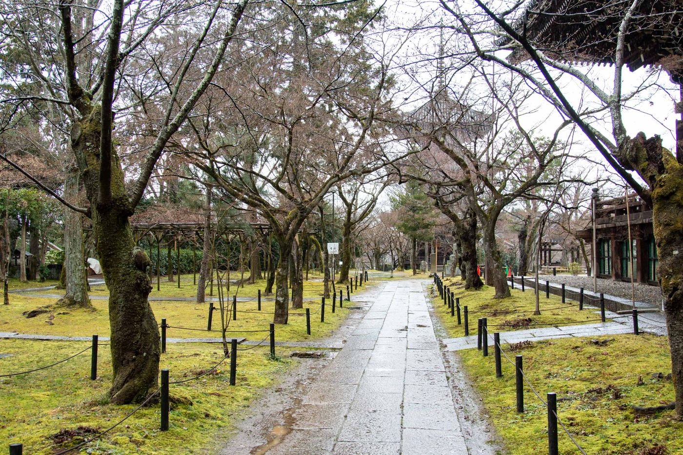 雨天人少枯寂