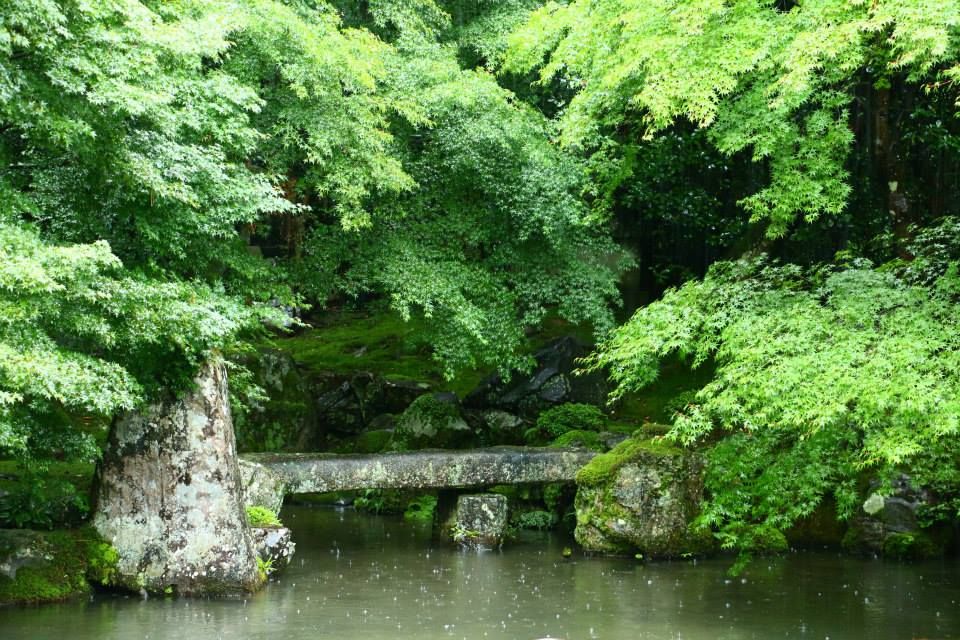 raw-image