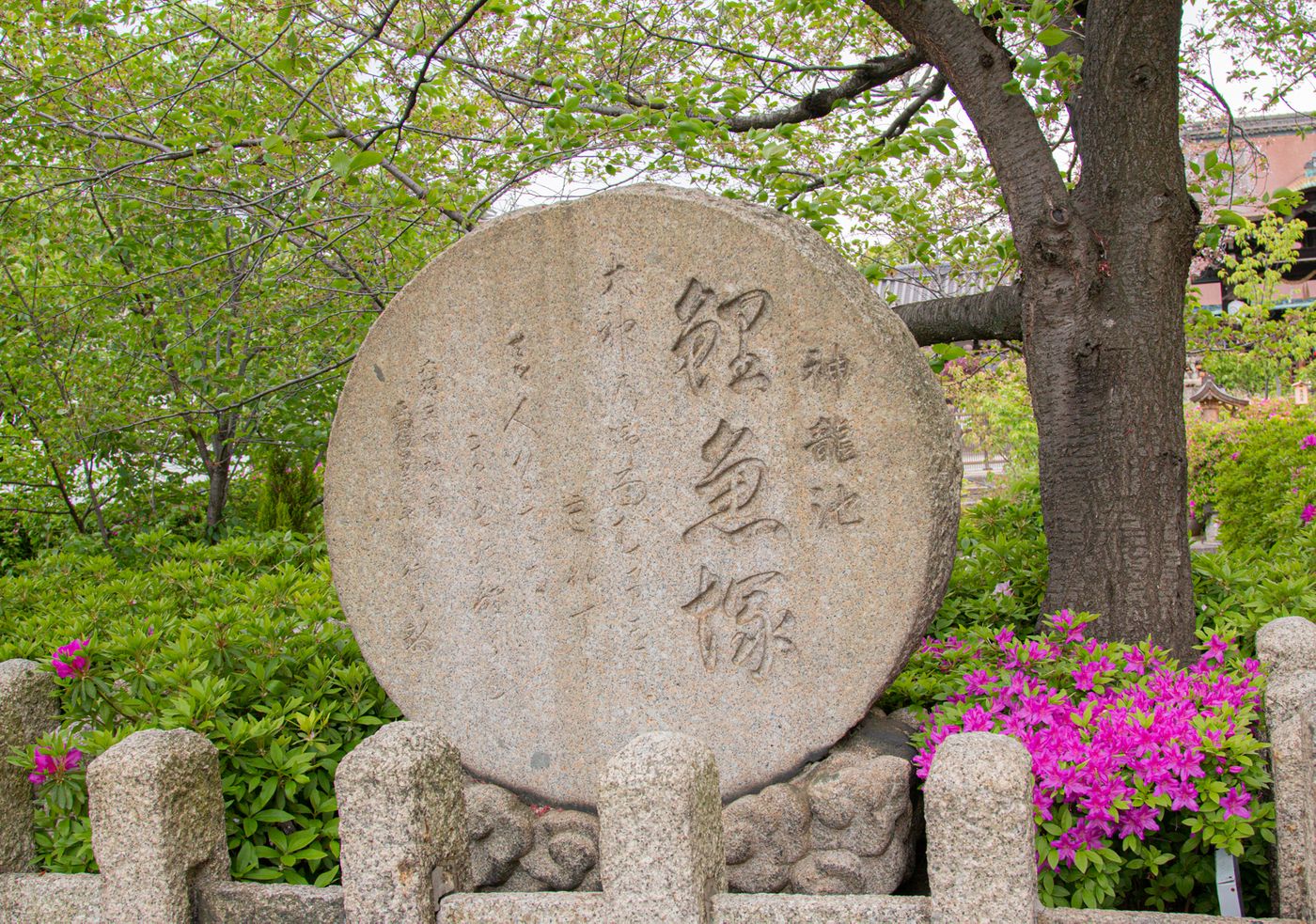 raw-image