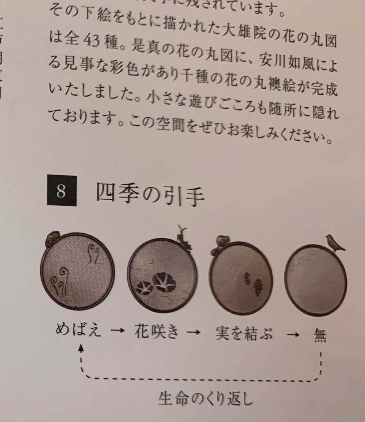 raw-image