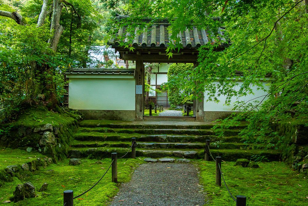 身處深山林中修行