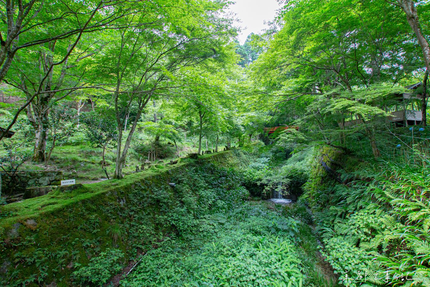 三千院有側有河川分別是呂川及律川