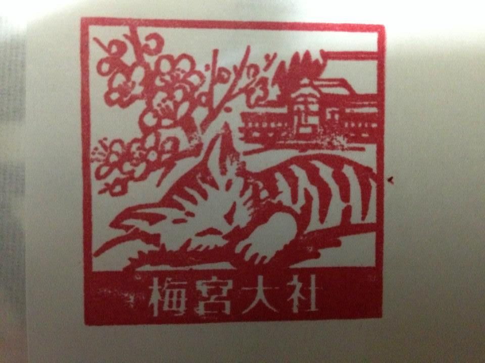 raw-image