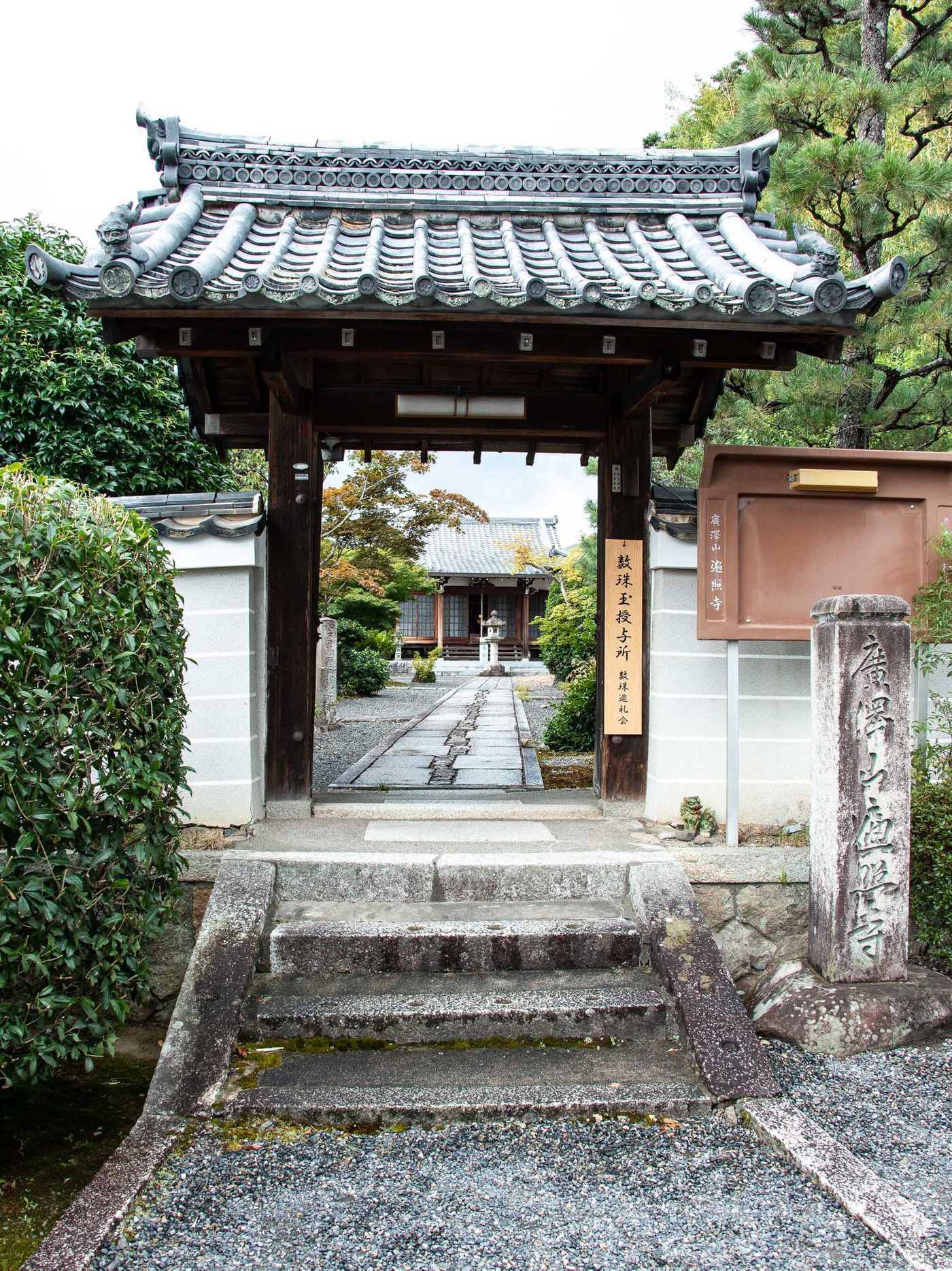 raw-image