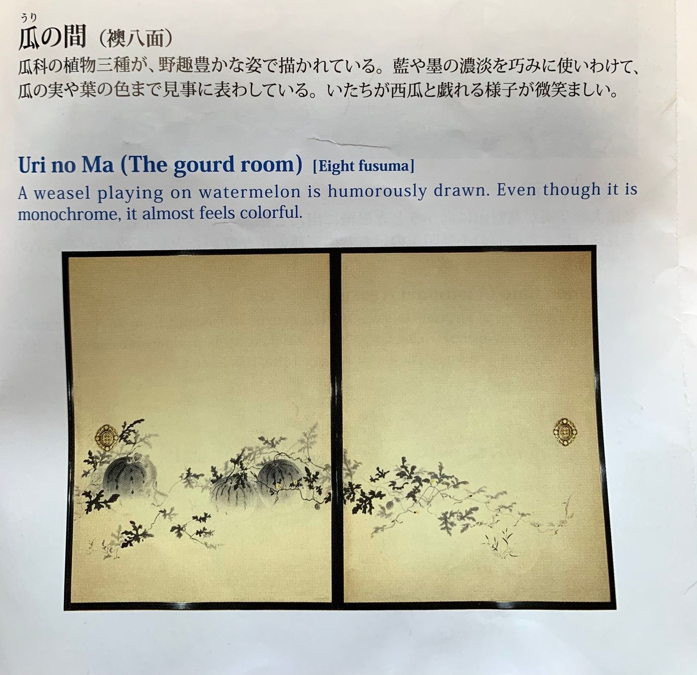 少見西瓜主題的童心俏皮