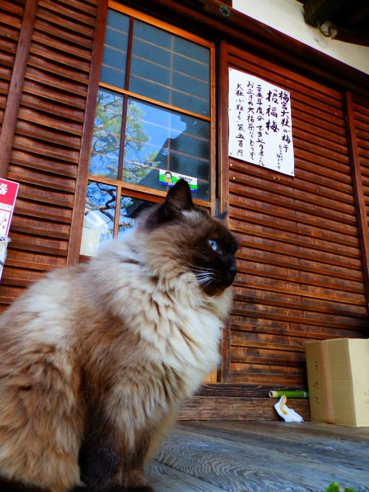 鄙視的眼神XD