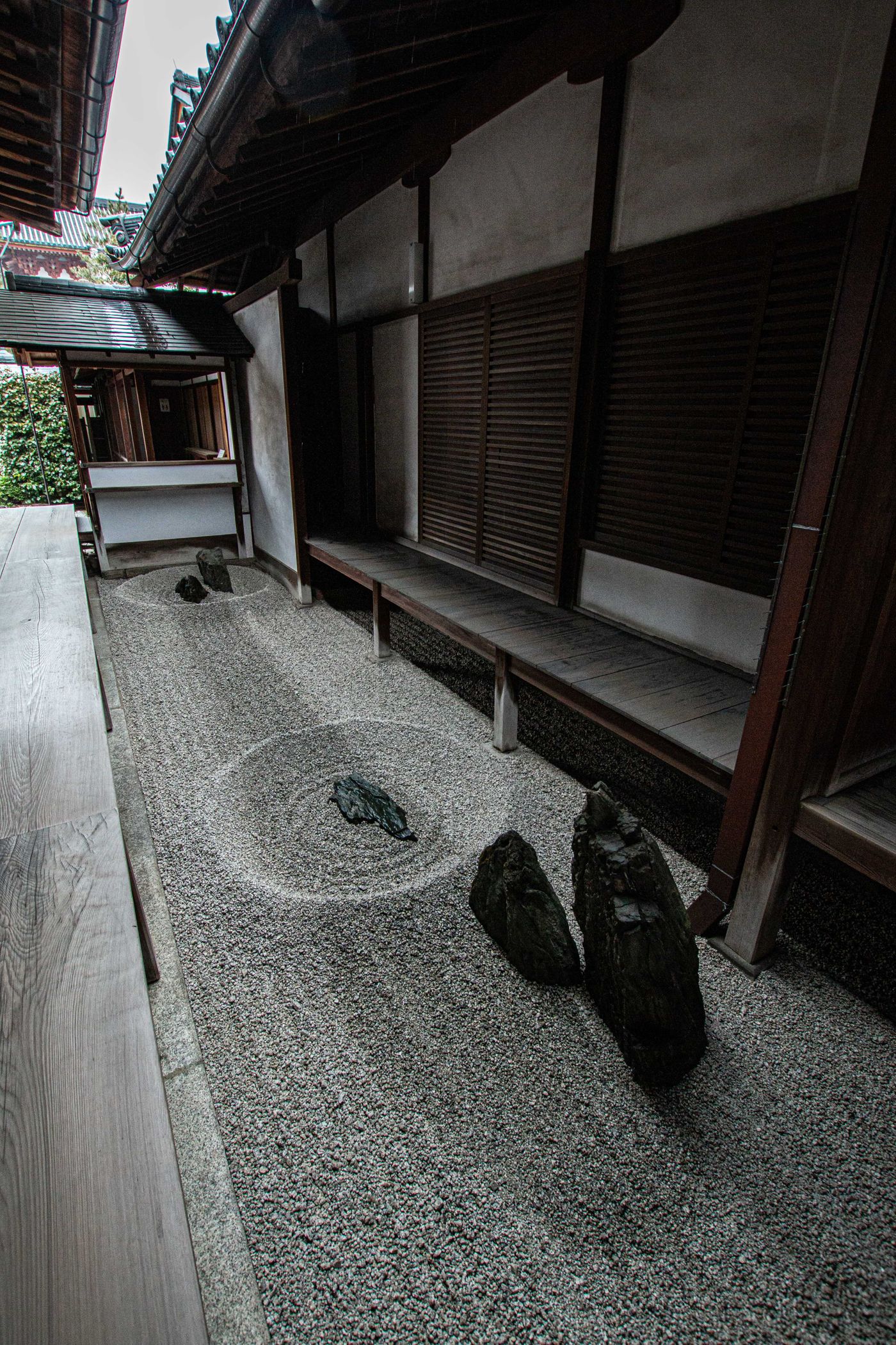 raw-image